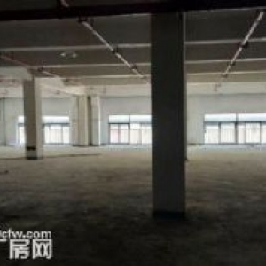 老余杭中泰工业区5亩土地，5454方标准厂房出售，证件齐全