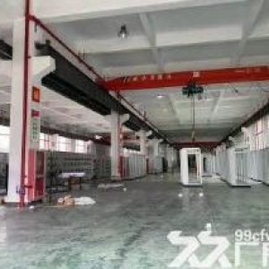 出租（萧山义桥10000方单层）钢结构厂房层高12米