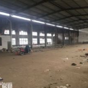 崇闲1000方一楼交通方便  仅此一