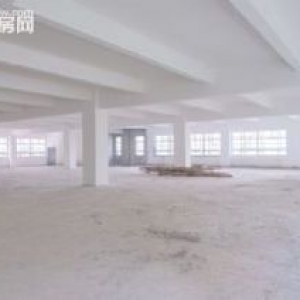 出租临平工业区15000方多层厂房，800方起租，报价26块