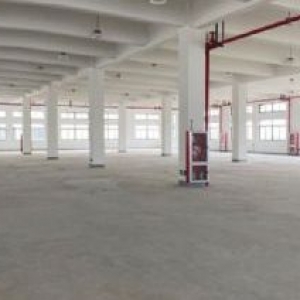 出租新街元沙二楼2000方厂房   报价：20万/年