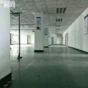 出租临平开发区一楼1300方！层高8.5米，适合电商，仓库。