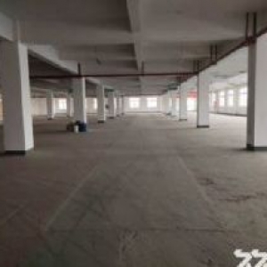 余杭运河4750方标准厂房出租