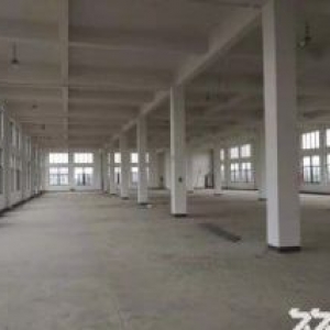 杨汛桥800方，单层层高8米，交通方便，各种行业可进