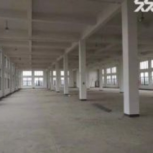 出租全新标准厂房位于老余杭科技大道边