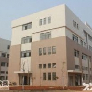 萧山戴村全新厂房一栋7200方，一栋6300方，一到四层，价