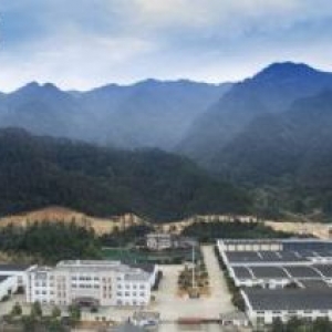 杭州建德 58000㎡ 厂房可分租 独院 有燃气 可环评