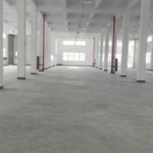 一楼1000方出租，适合仓储轻工类