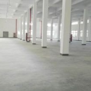 全新标准厂房出租，单层1800方，双边大货梯