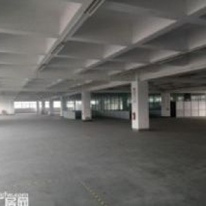萧山大面积厂房出租  可分割Q