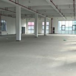 滨江独栋单层2000方标准厂房，电商服装设计展厅等