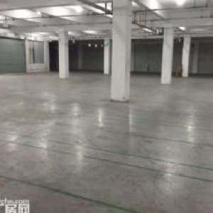 滨文路一楼1200方，层高6米，适合展厅摄影科技类