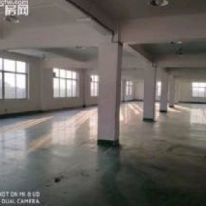闻堰单层1400方标准厂房，适合淘宝仓库直接拎包