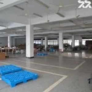 1000方厂房出租,配3T大货梯，办公服装设计等