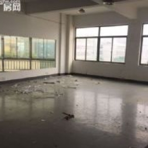 滨江600方厂房出租  价格便宜 淘宝仓储办公