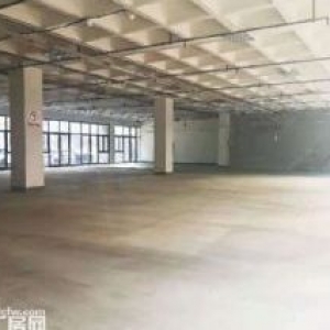 滨江厂房招租，面积1000方到2.5万/平方