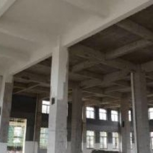 出租楼塔6270方标准厂房独门独院 大马路旁边