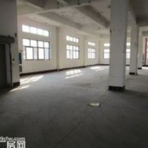 滨康路地铁口附近500 1200方出租̳