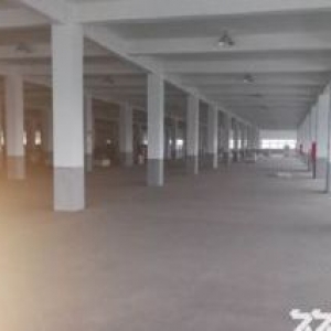 机场高速鸿达路单层2000方 适合电子科技轻加工