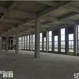 开发商直售一手厂房全新