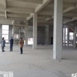 全新工业用地厂房出售！入园门槛低！历史最低价！！！