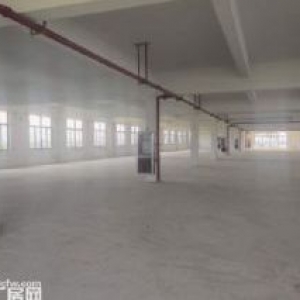 诚心出售下沙开发区5亩5000方标准厂房