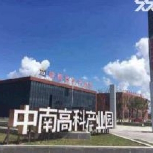 中南高科，50年独立产权，单层钢构出售 低价格 天能电池旁