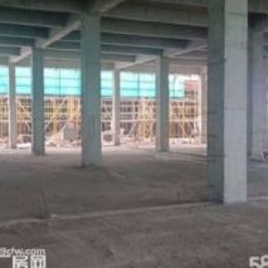 余杭运河街道旁，标准工业厂房精装出售，独立产权50年，开发商