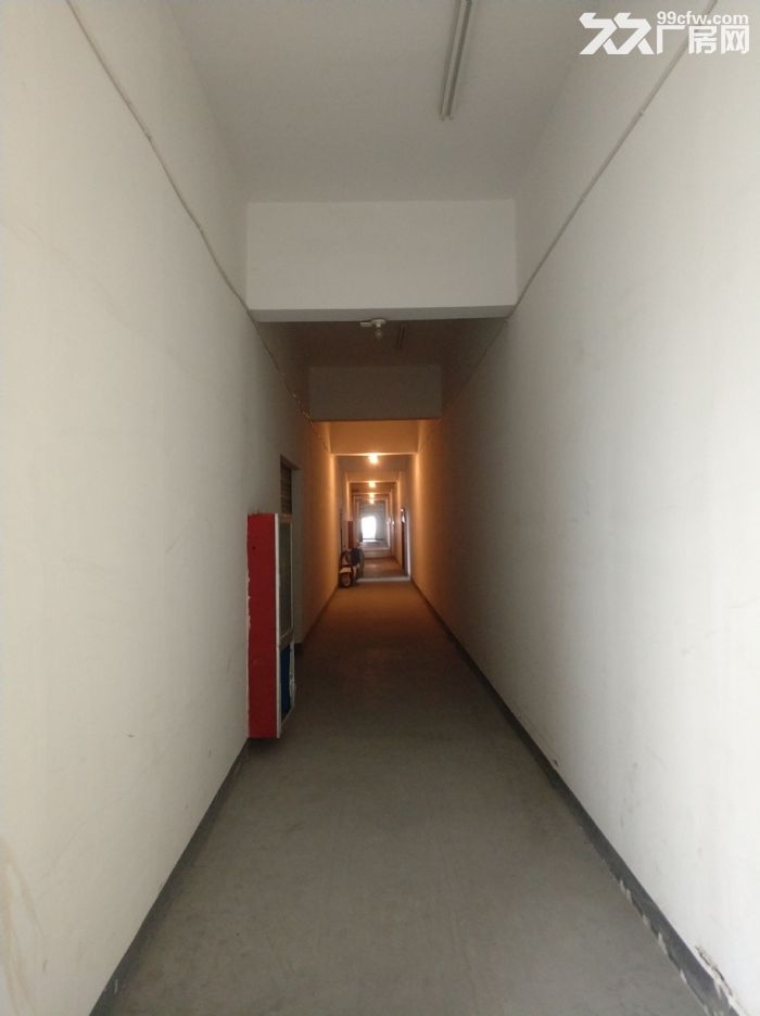 滨江区滨康路附近稀缺标准厂房出租