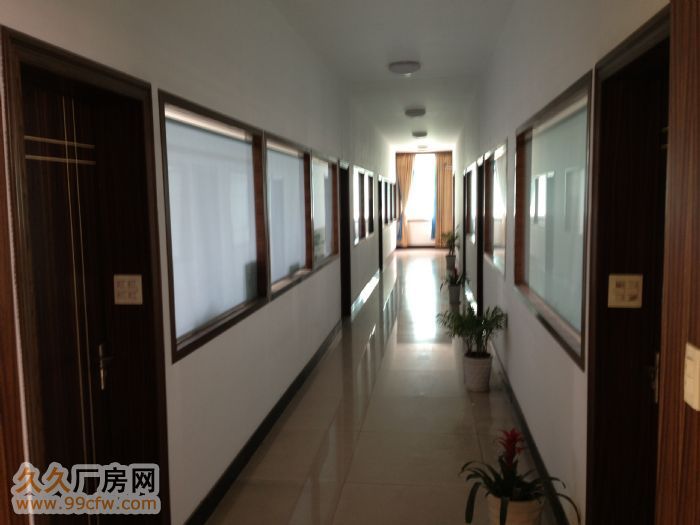 滨江区标准厂房办公楼出租地理位置优越价格实惠-图5