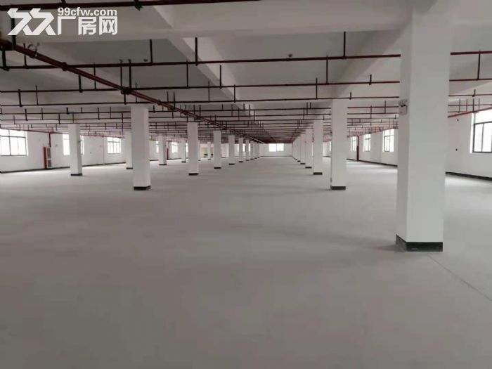 出租 临平区崇贤街道全新标准厂房16170平方，大小可分租-图4