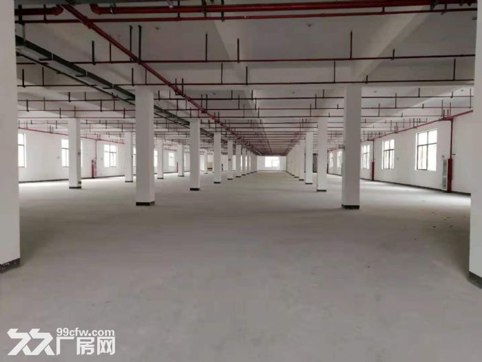 出租 临平区崇贤街道全新标准厂房16170平方，大小可分租-图5