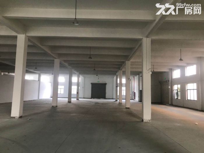 出租黄湖工业区10000方多层厂房，可以分租