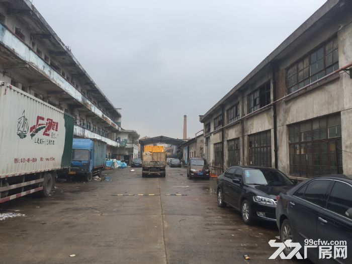崇闲1000方一楼交通方便  仅此一套-图5