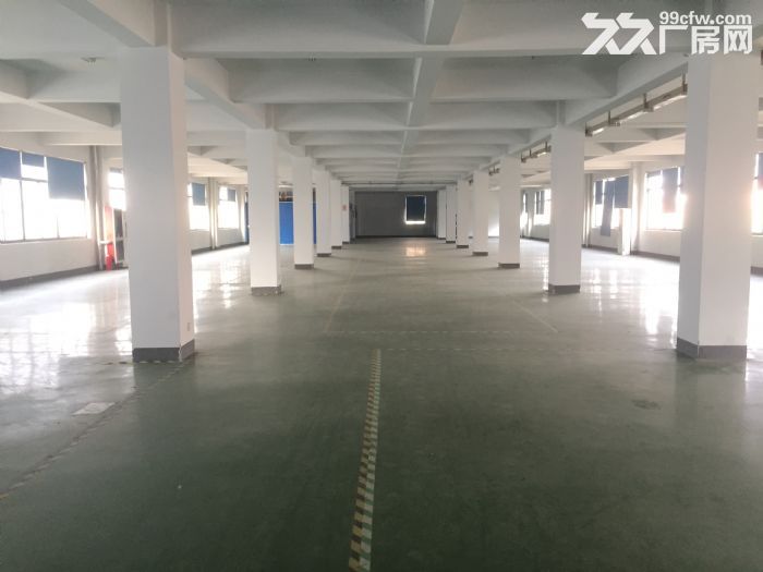 未来科技城 阿里巴巴旁 适合淘宝 电商 电子仓库等！！！