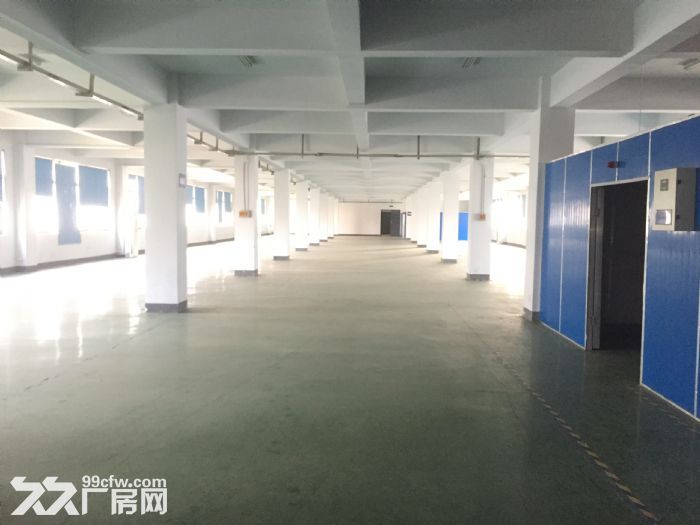 未来科技城 阿里巴巴旁 适合淘宝 电商 电子仓库等！！！-图4