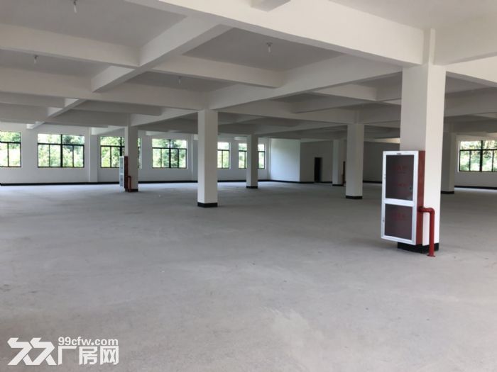 瓶窑凤都工业园区一致2楼2700方-图3