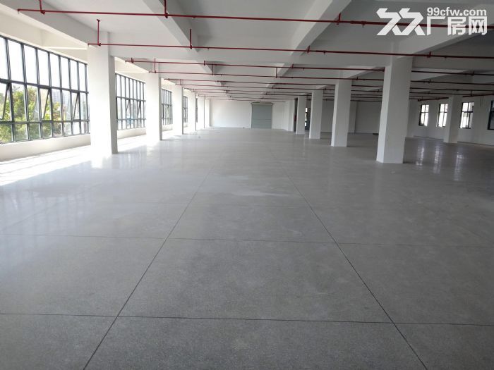 出租新市3700方标准厂房1—3层，一楼层高8米，楼上5米，价格整租24块-图3