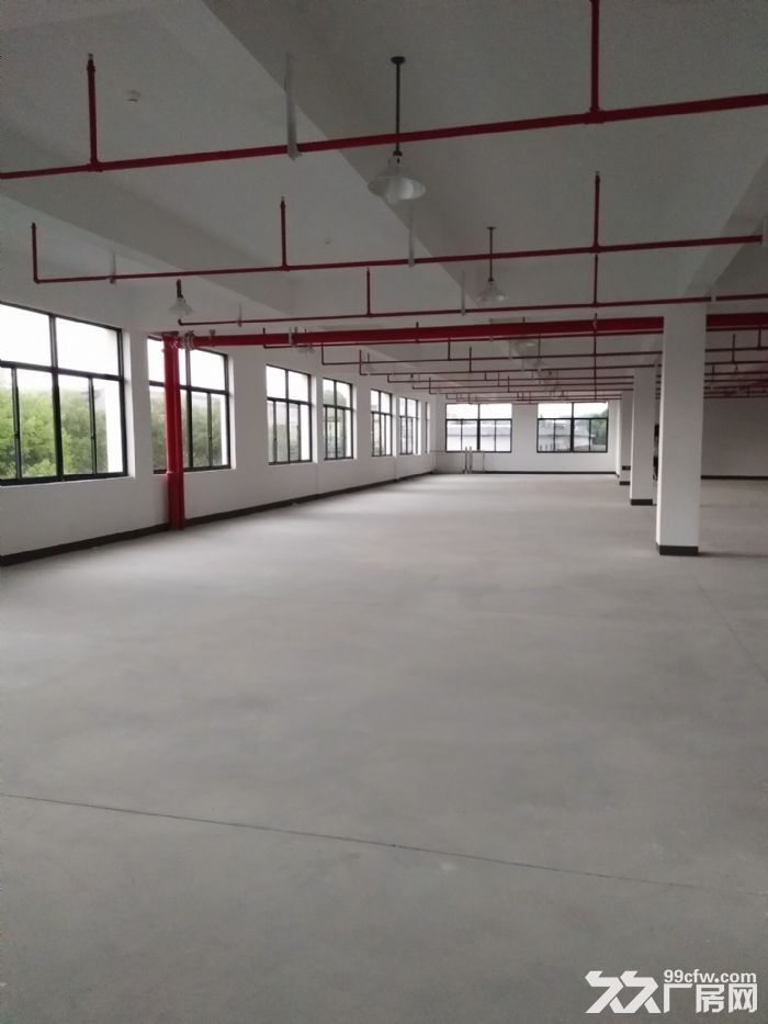 新建厂房 一至三层均有 可分割出租 业态不限 大车进出方便-图3