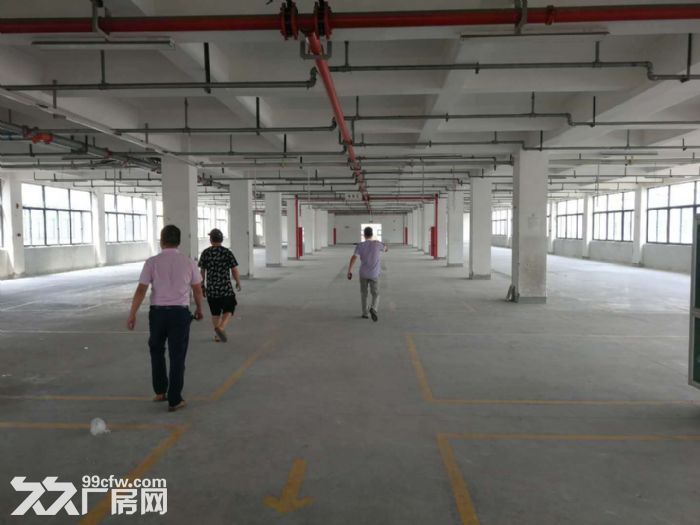 桥南开发区靠近机场匝道 2000方一层多层再租-图4