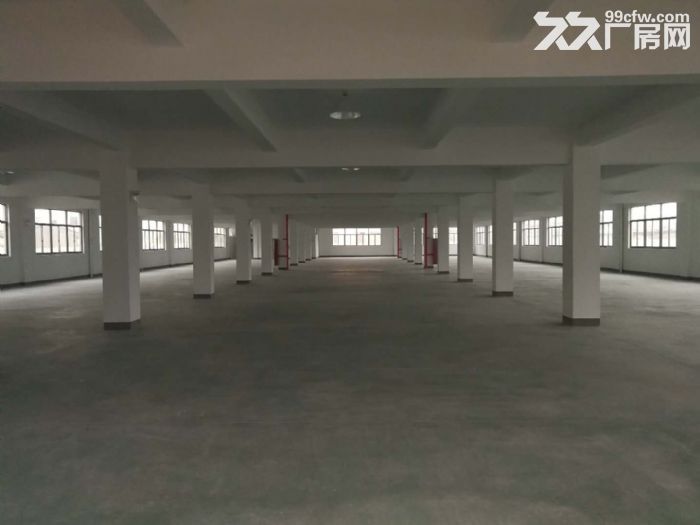 机场高架附近单层2000方共三层适合淘宝仓储-图3