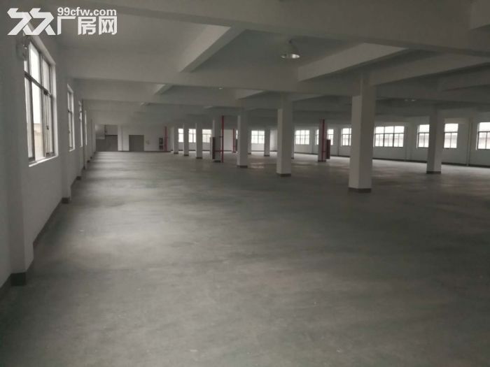 机场高架附近单层2000方共三层适合淘宝仓储-图5