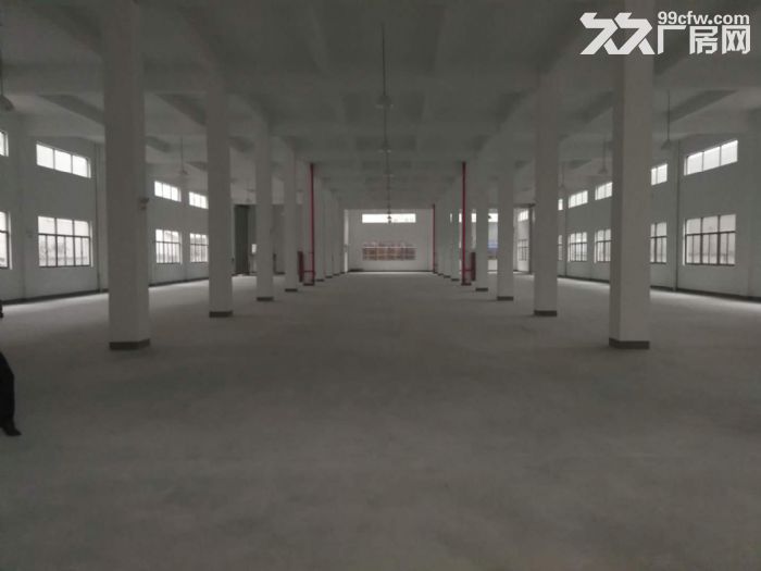 机场高架附近单层2000方共三层适合淘宝仓储-图8