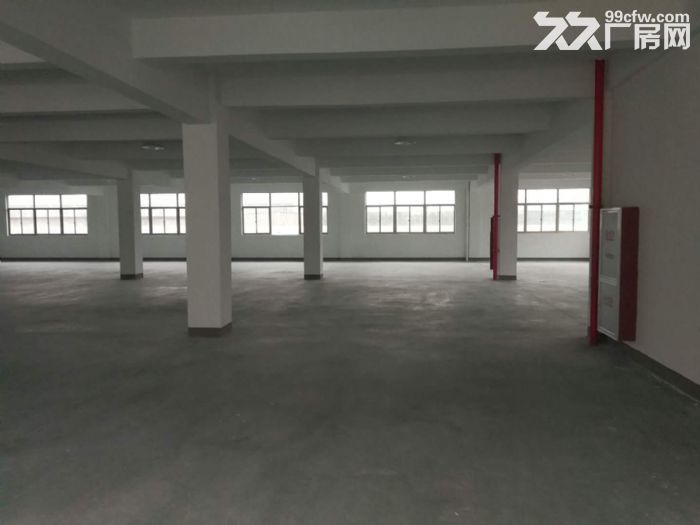 机场高架下桥南开发区整栋厂房出租 5000方和9000方