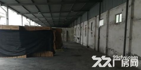 海宁盐仓连杭开发区 4000方 独门独院-图2
