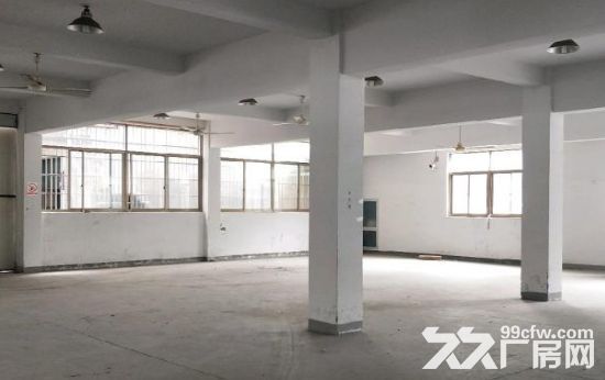 海宁盐仓连杭开发区 4000方 独门独院-图6