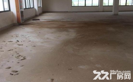 海宁盐仓连杭开发区 4000方 独门独院-图5