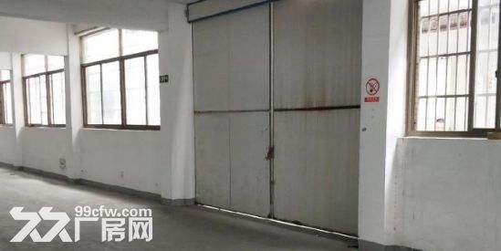海宁盐仓连杭开发区 4000方 独门独院-图8