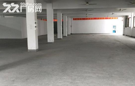 海宁盐仓连杭开发区 4000方 独门独院-图7