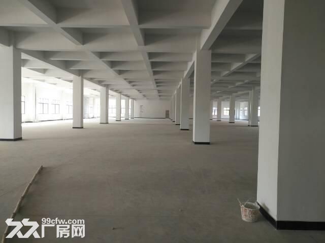 临安锦南街道1−3层3100方全新厂房出租-图2